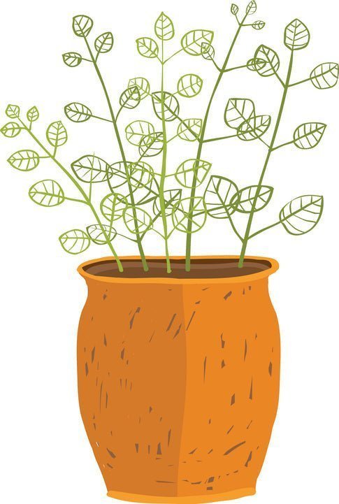 Digital Therapeutics for ADHD - Pop Sugar Cafe