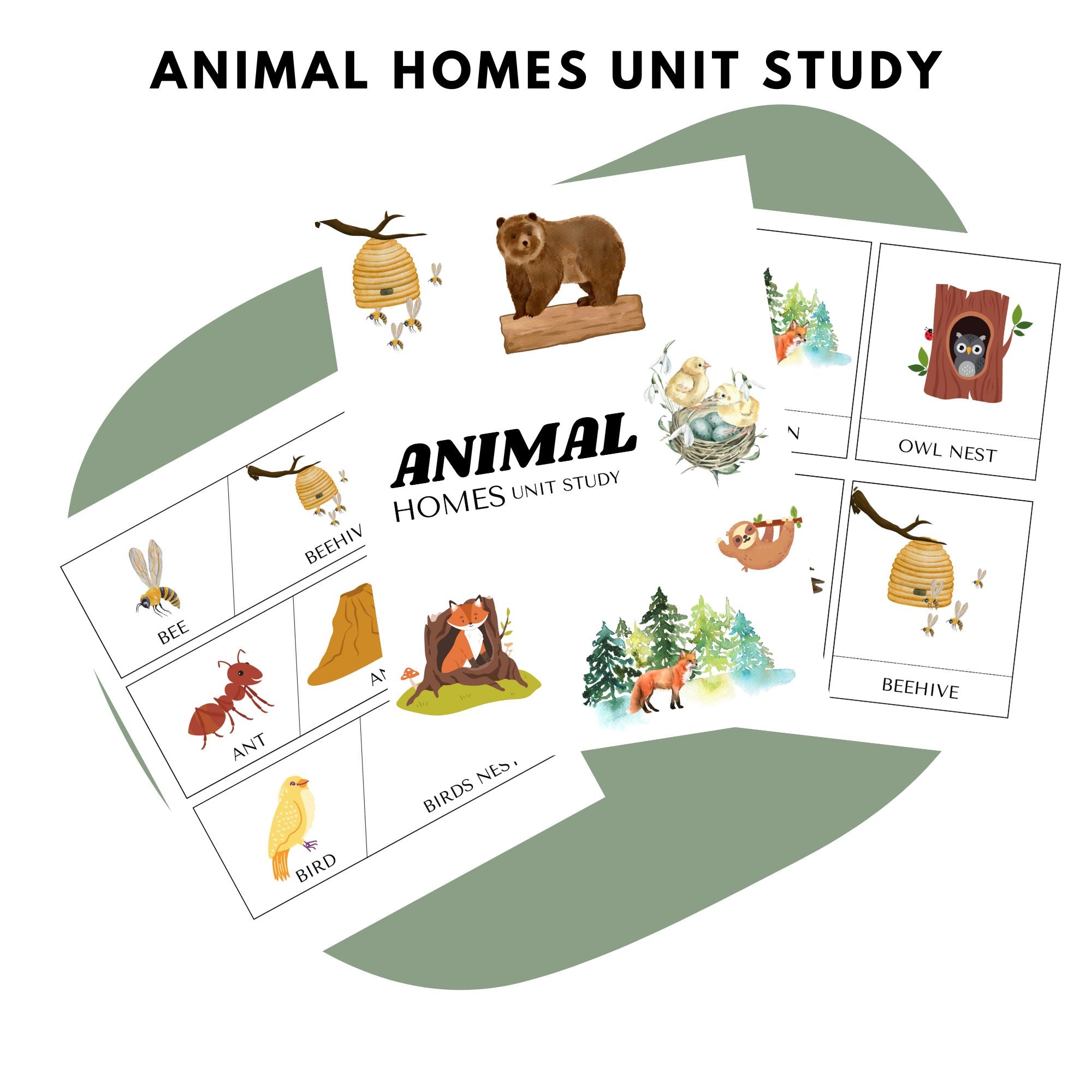 ANIMAL HABITAT ACITIVITIES FOR KIDS - Pop Sugar Cafe